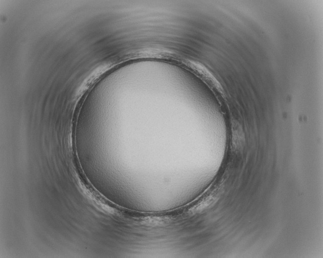 X0000072960938200608111647