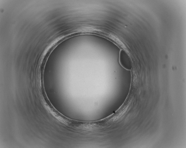 X0000072960939200608111647