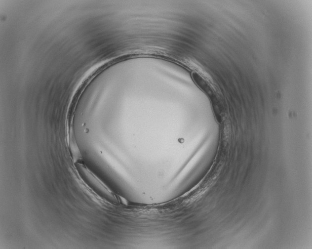 X0000072960940200608111647