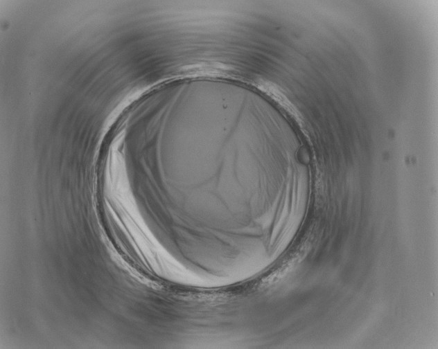 X0000072960941200608111647