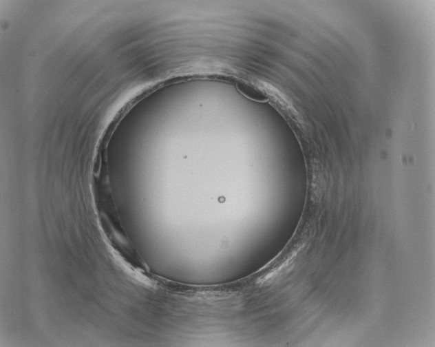 X0000072960942200608111647