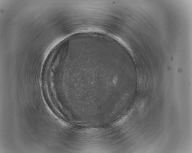 X0000072960943200608111647