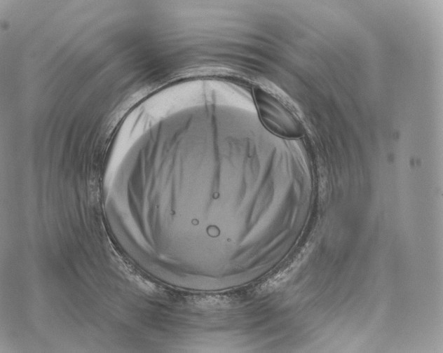 X0000072960945200608111647