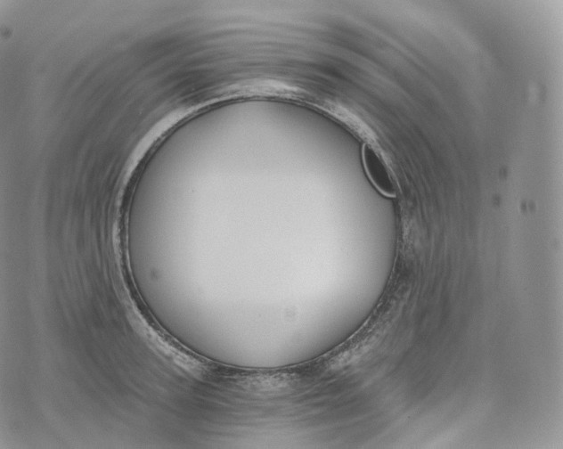 X0000072960947200608111647