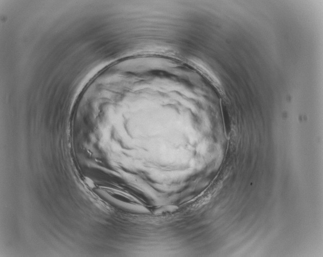 X0000072960948200608111647