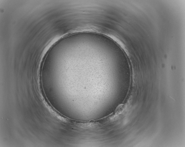 X0000072960949200608111647