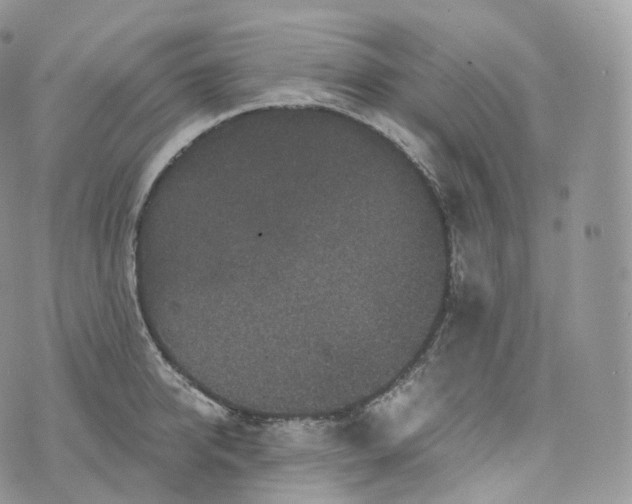 X0000072960950200608111647