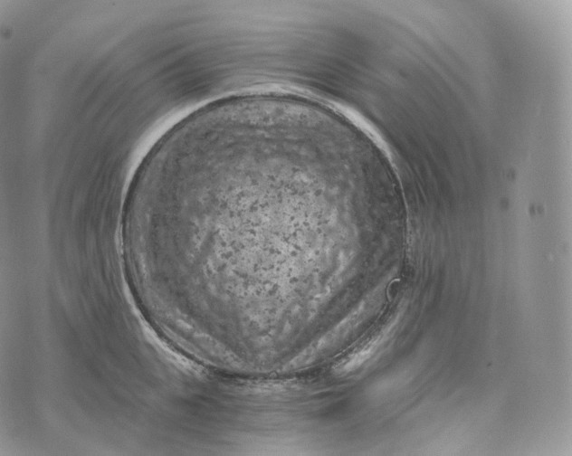 X0000072960951200608111647