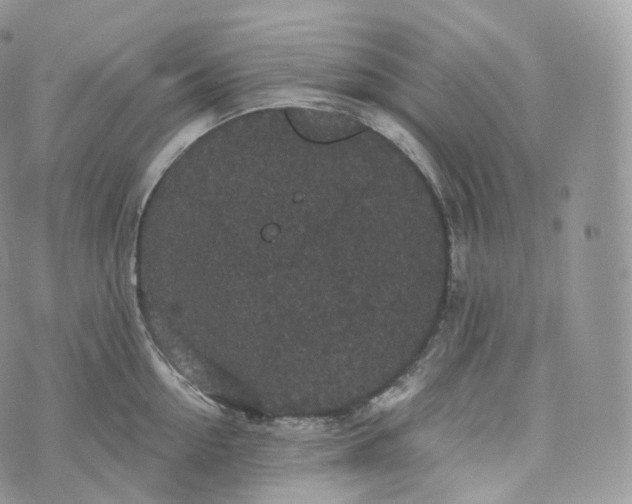 X0000072960954200608111647