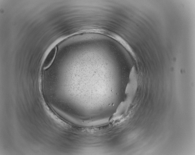 X0000072960955200608111647