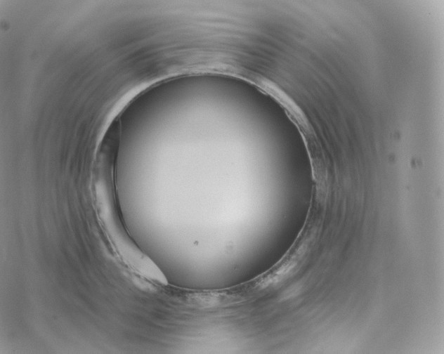 X0000072960956200608111647