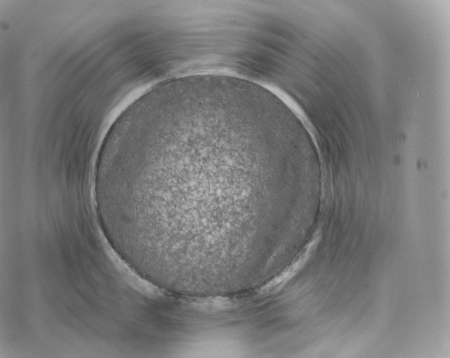 X0000072960957200608111648