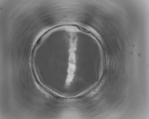 X0000072960958200608111648