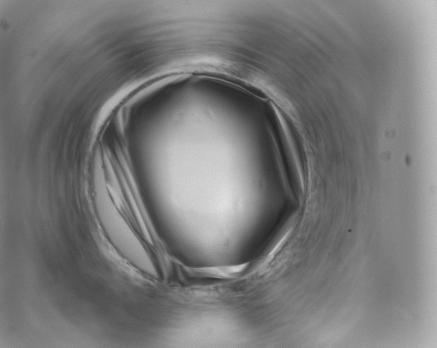 X0000072960960200608111648