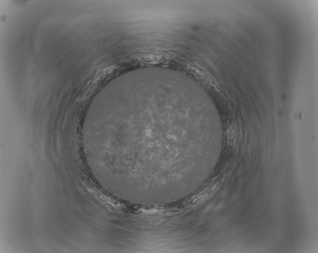 X0000072960961200608111647