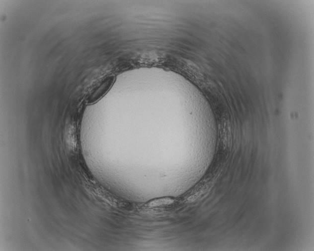 X0000072960962200608111647