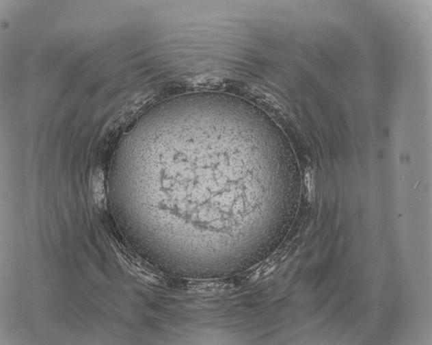 X0000072960963200608111647