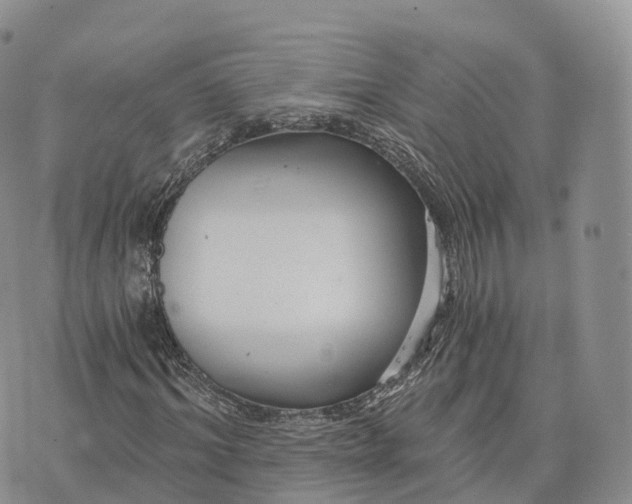 X0000072960964200608111647