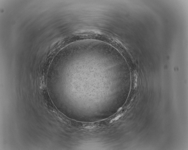 X0000072960965200608111647