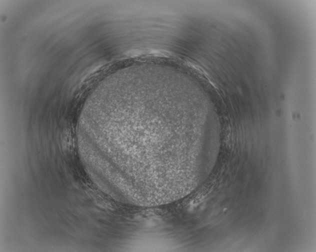 X0000072960966200608111647