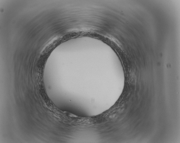 X0000072960967200608111647