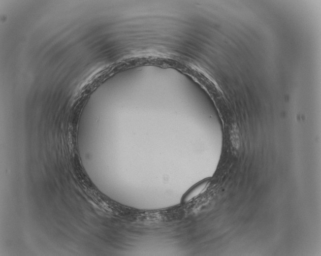 X0000072960968200608111647