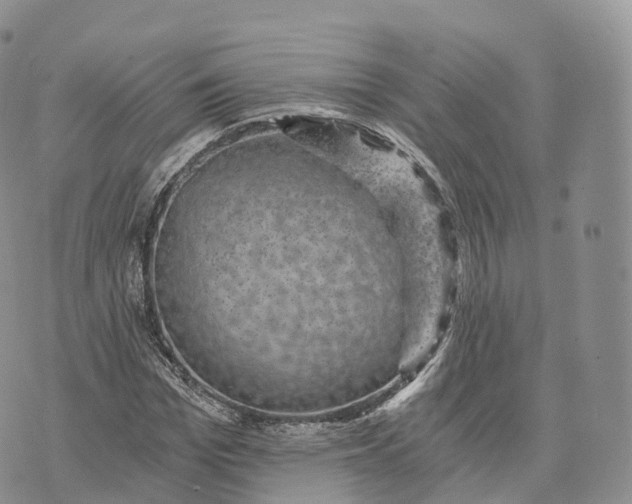 X0000072960969200608111647