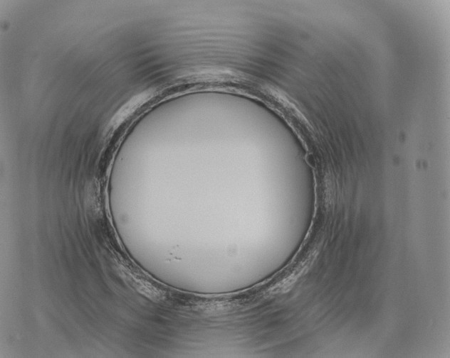 X0000072960970200608111647