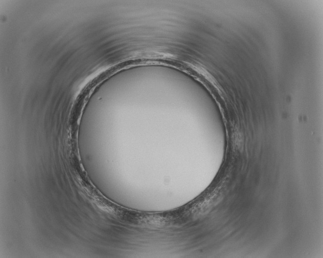 X0000072960971200608111647