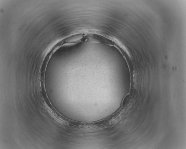 X0000072960972200608111647