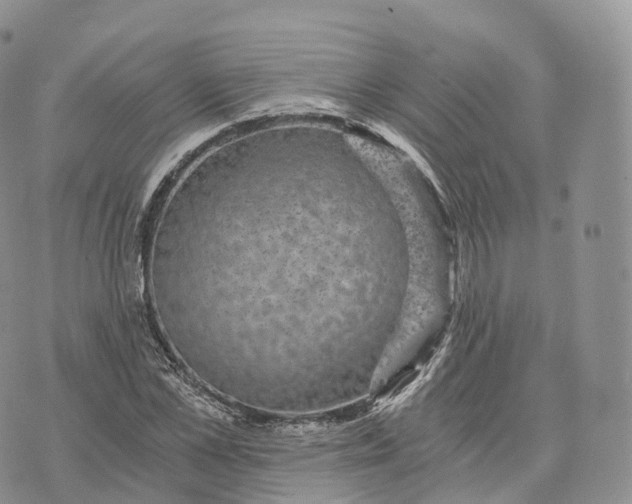 X0000072960973200608111647