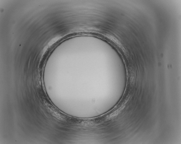 X0000072960974200608111647