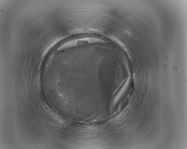 X0000072960975200608111647