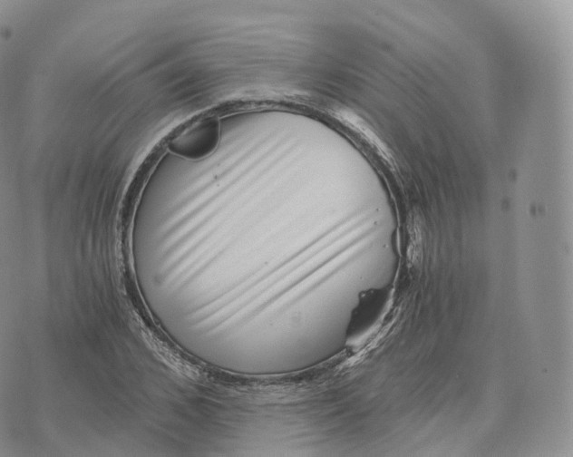 X0000072960976200608111647