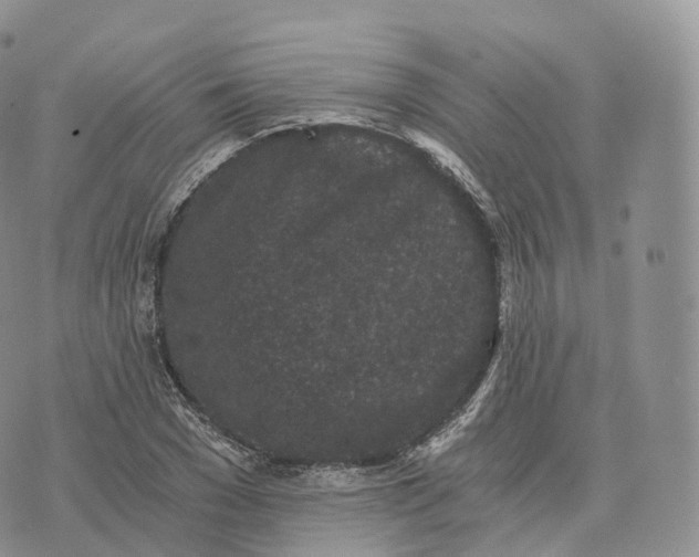 X0000072960977200608111647