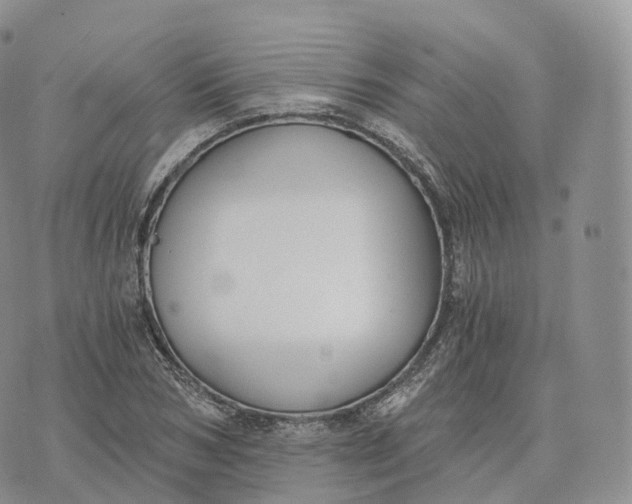 X0000072960978200608111646