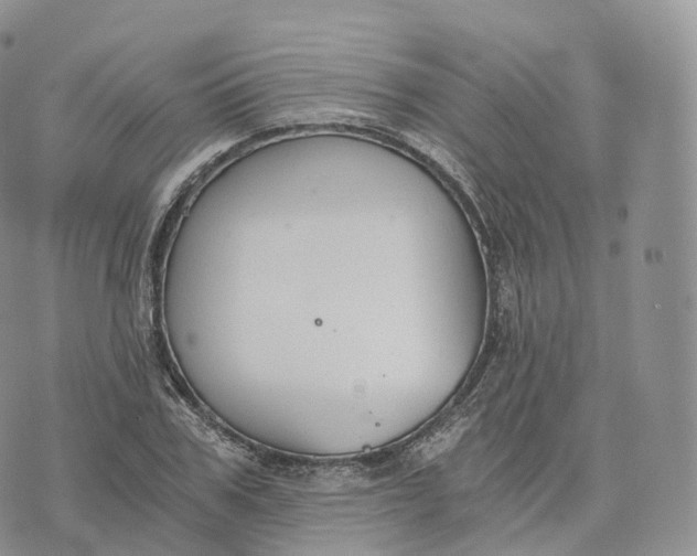 X0000072960979200608111646