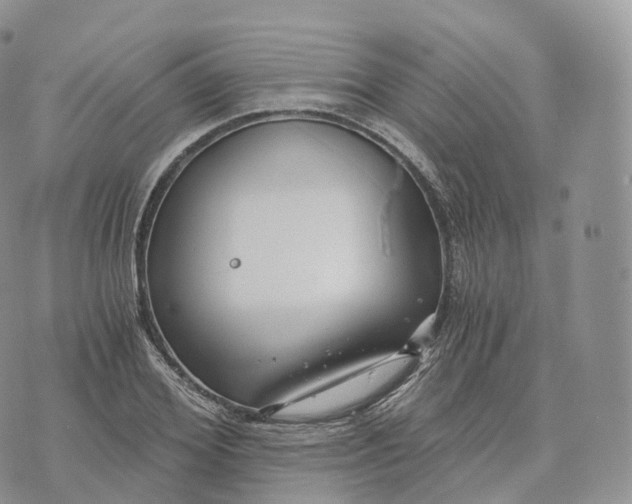 X0000072960980200608111646