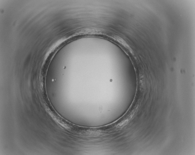 X0000072960981200608111646