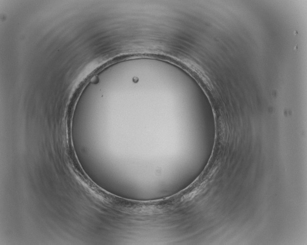 X0000072960982200608111646