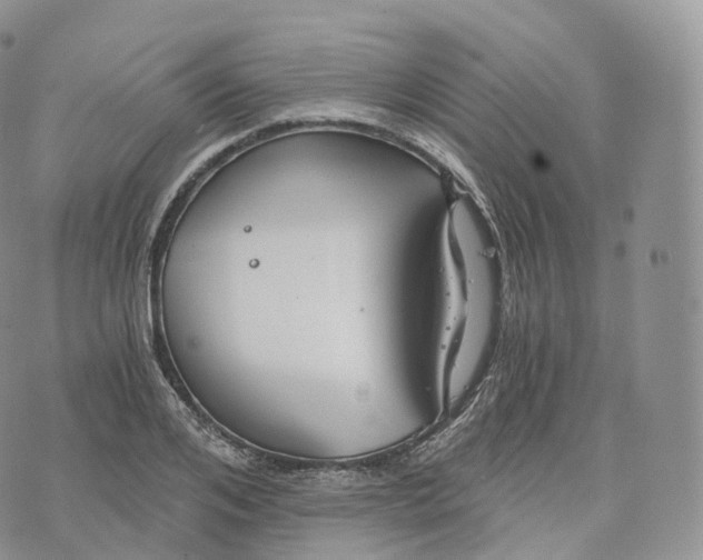 X0000072960984200608111646