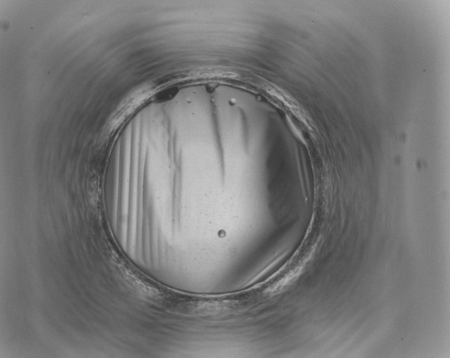 X0000072960985200608111646