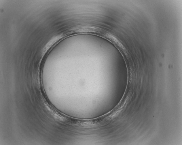 X0000072960986200608111646