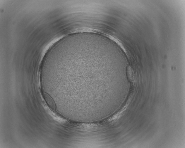 X0000072960987200608111646