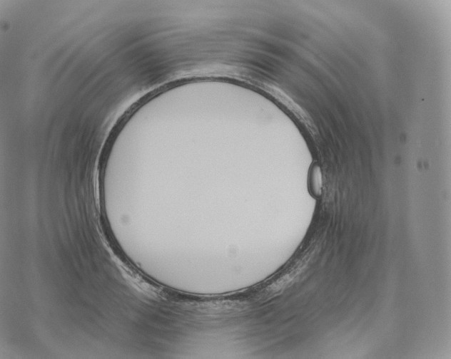 X0000072960988200608111646