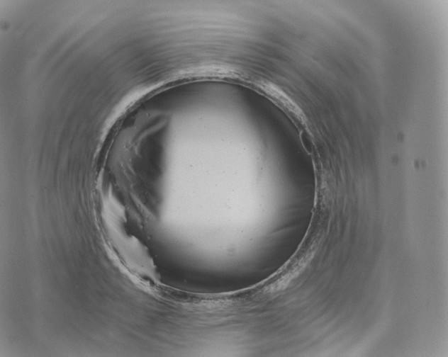 X0000072960989200608111646