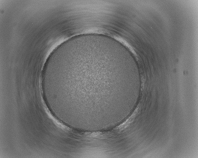 X0000072960991200608111646