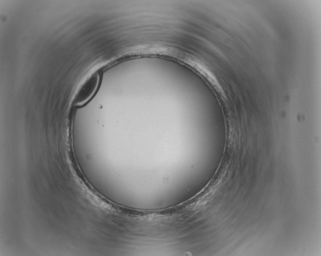 X0000072960992200608111646