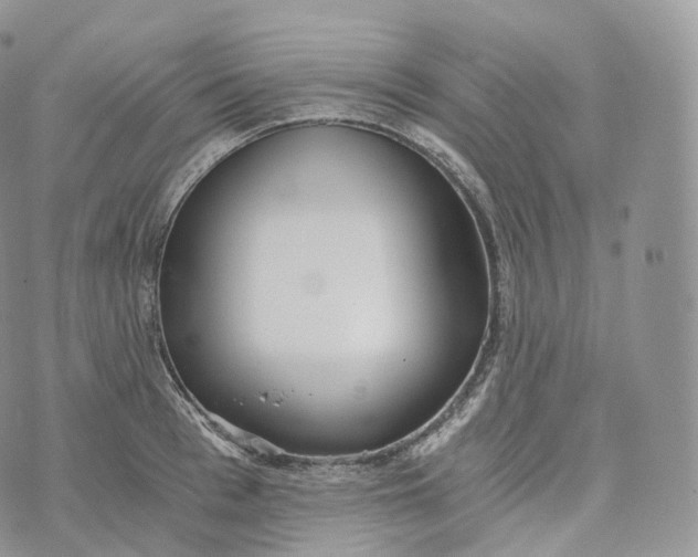 X0000072960993200608111646