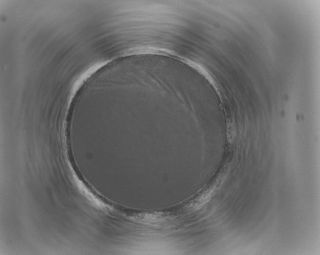 X0000072960995200608111646